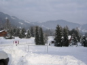 dscn0233.jpg