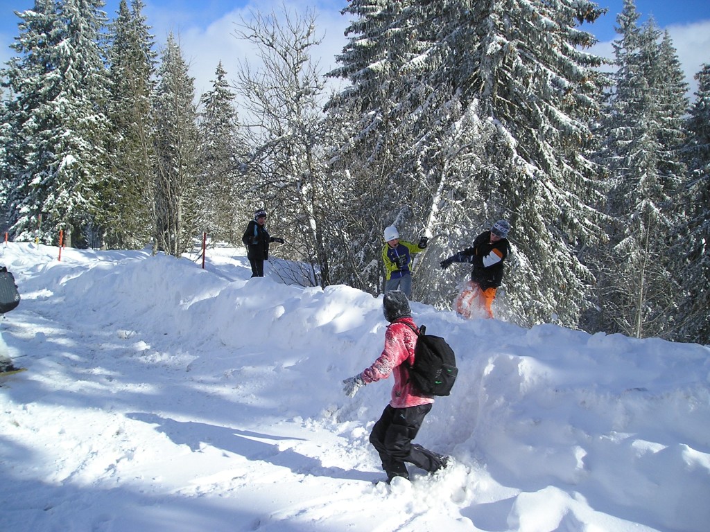 p1010003.jpg