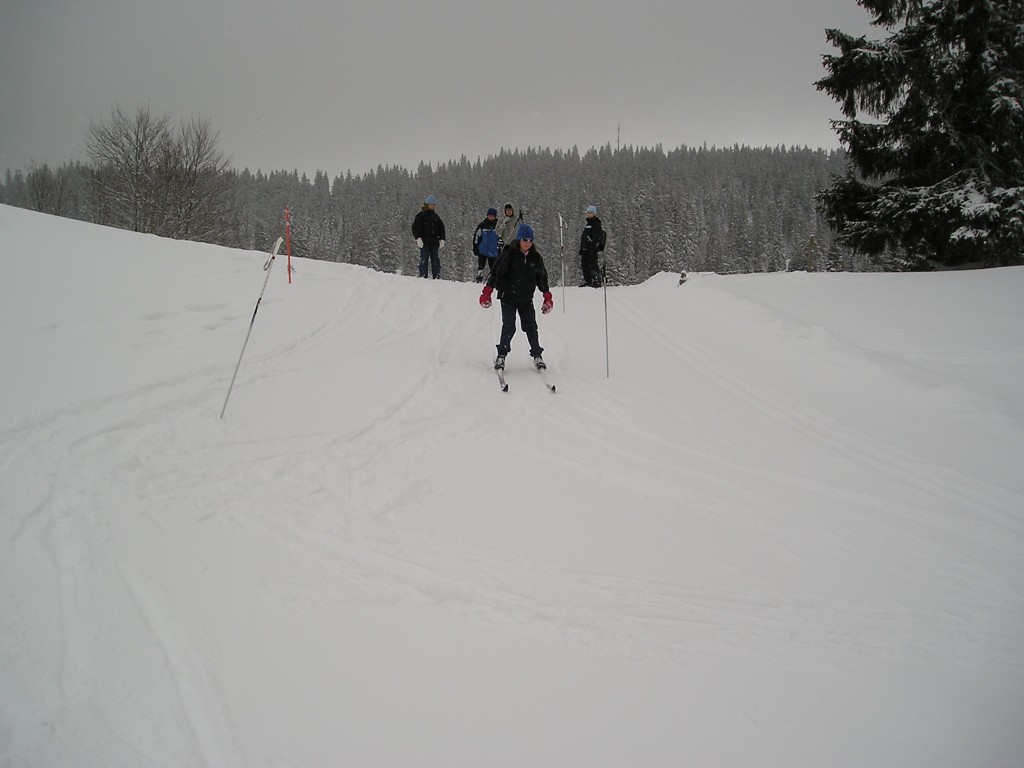 p1010004.jpg