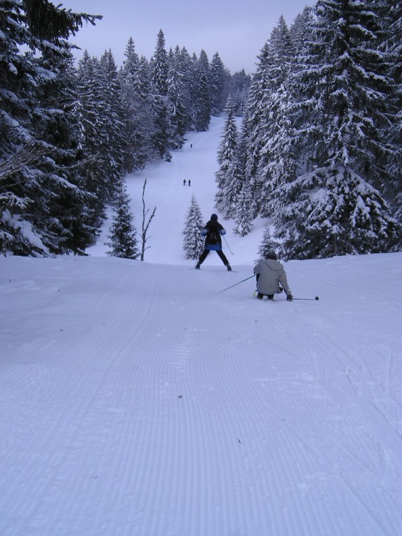 p1010007.jpg