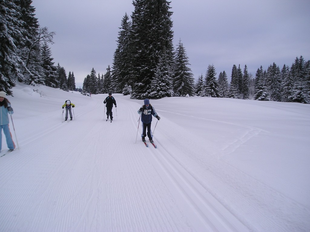 p1010011.jpg