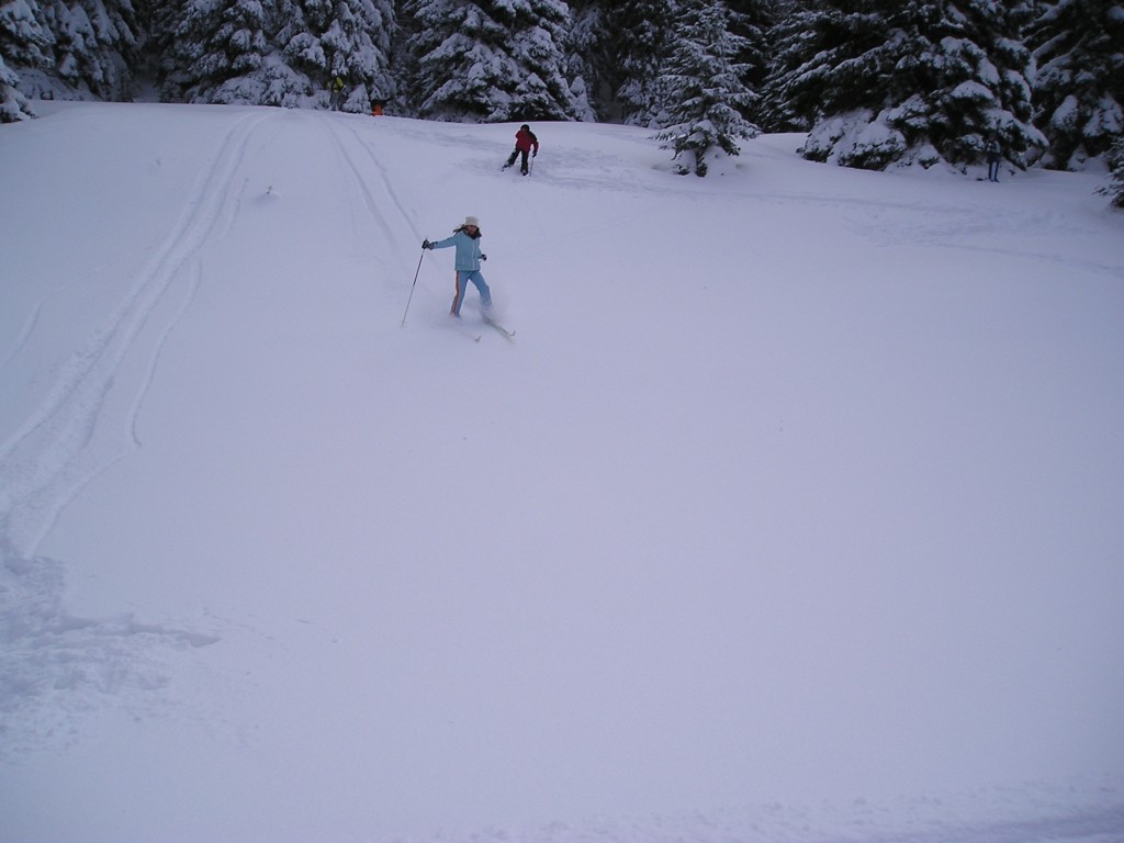 p1010013.jpg