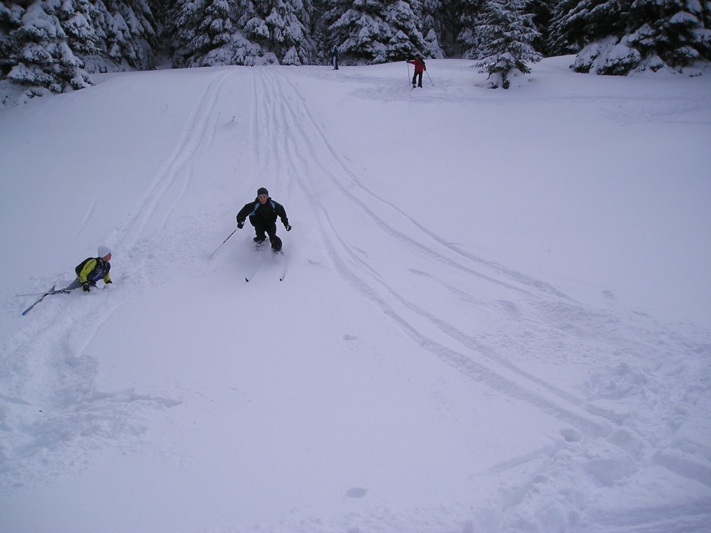p1010016.jpg