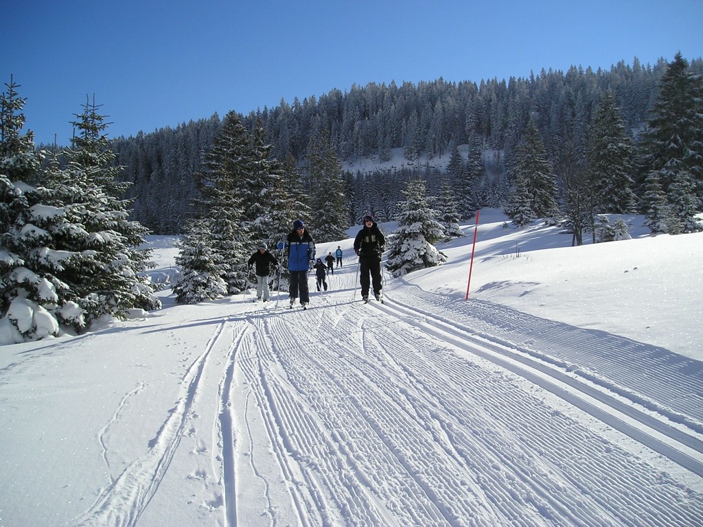 p1010044.jpg