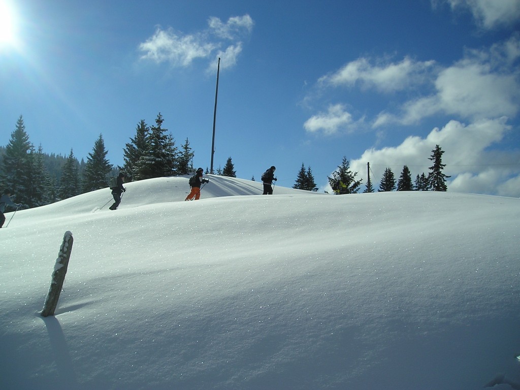p1010047.jpg