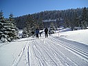 p1010044.jpg