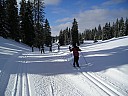 p1010046.jpg