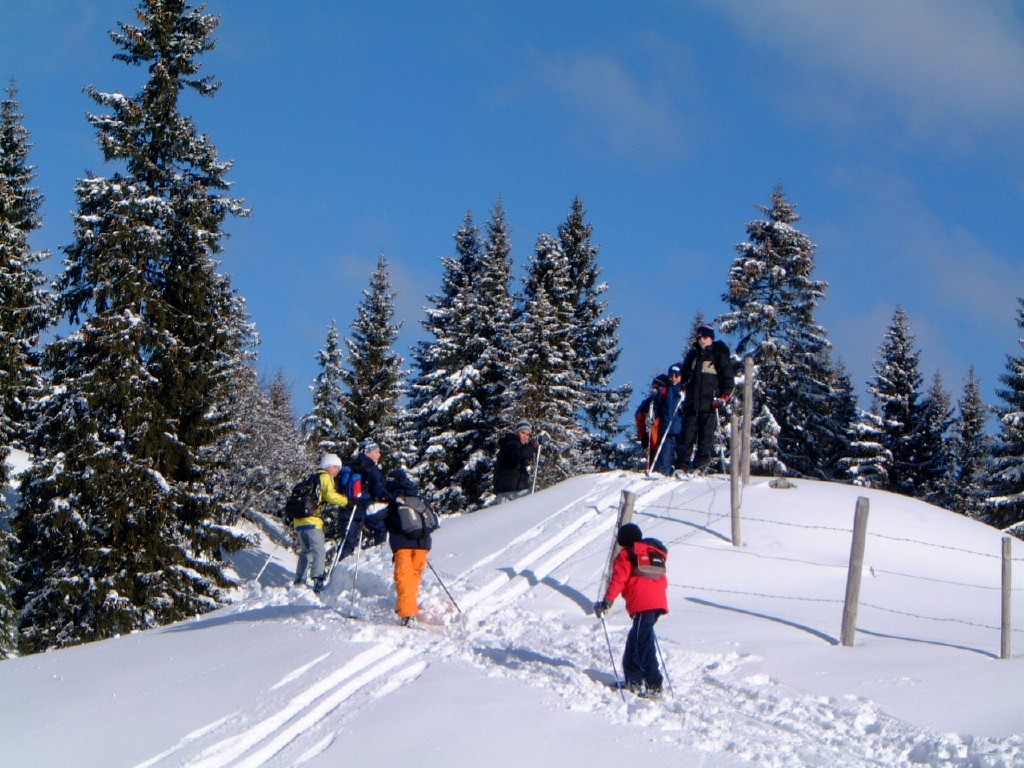 dscf0017_1.jpg