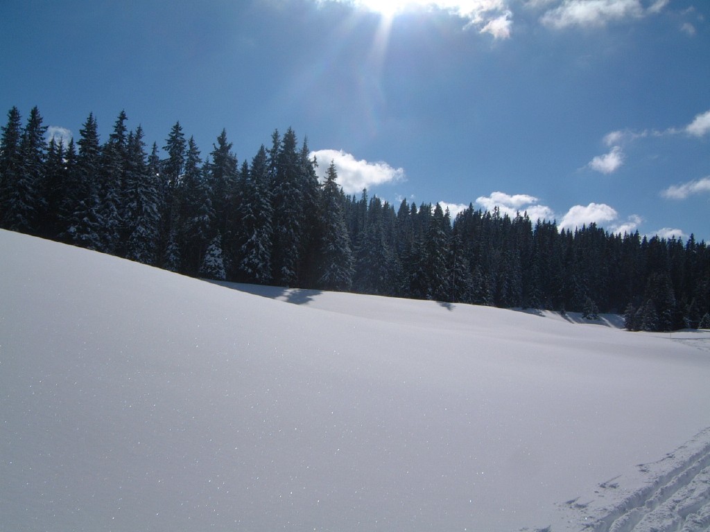 dscf0032_1.jpg