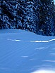 dscf0069.jpg
