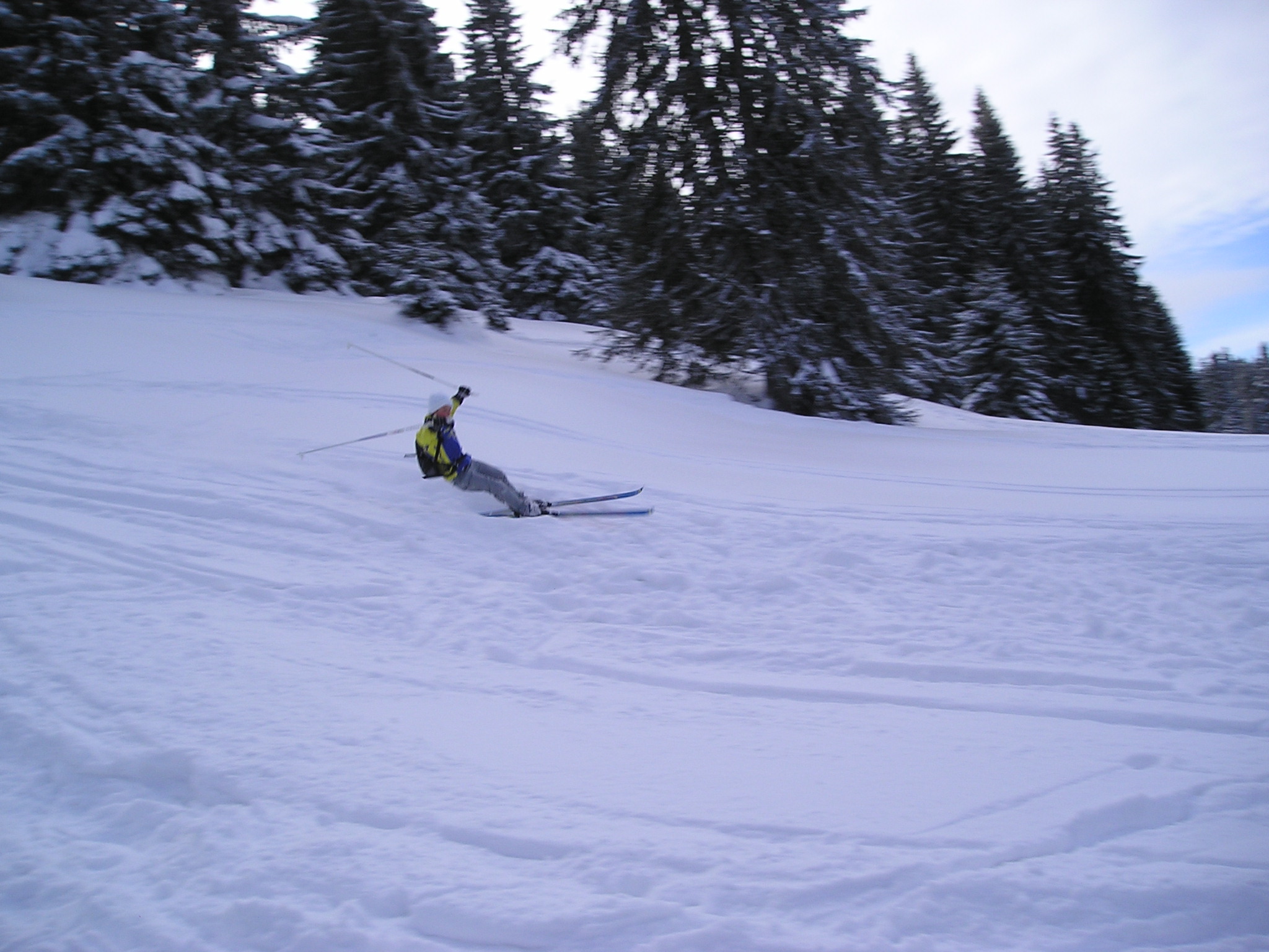 p1010023.jpg