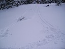 p1010014.jpg
