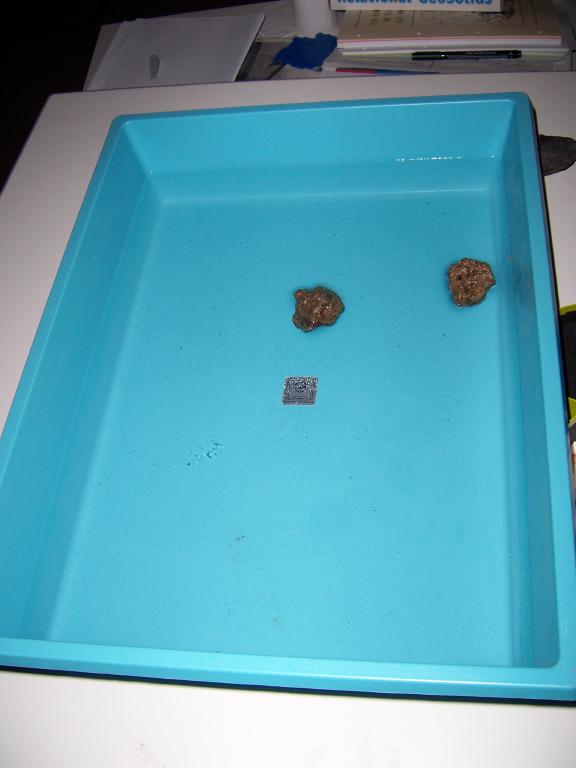 100_1028.jpg