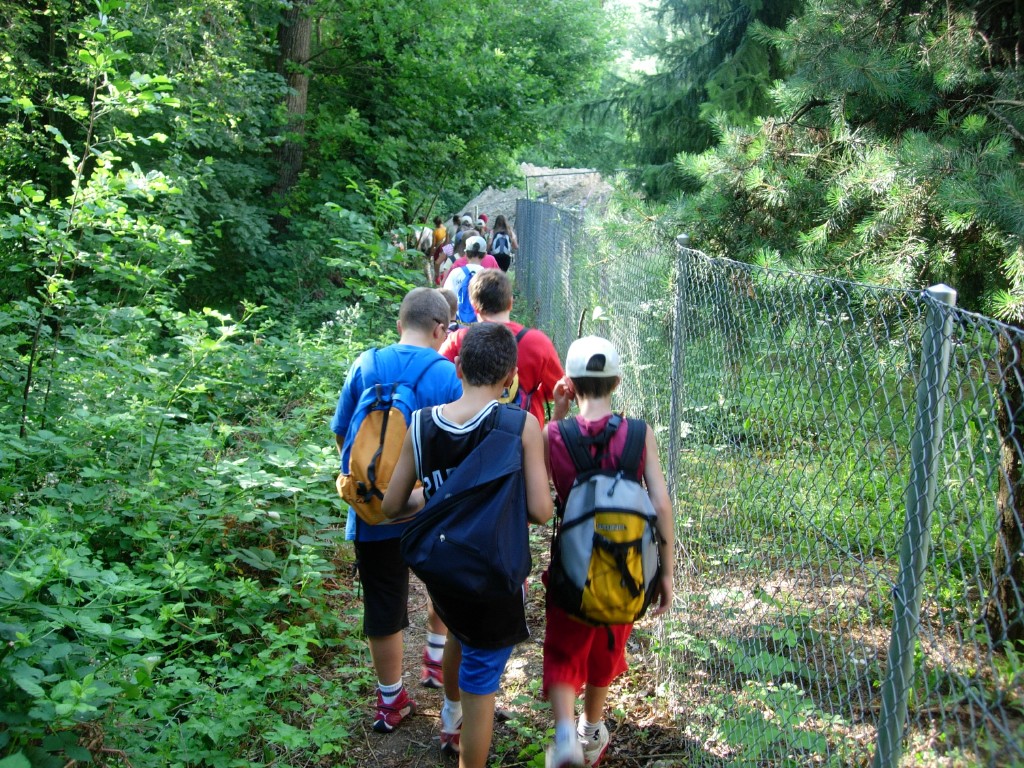 dscn1556.jpg
