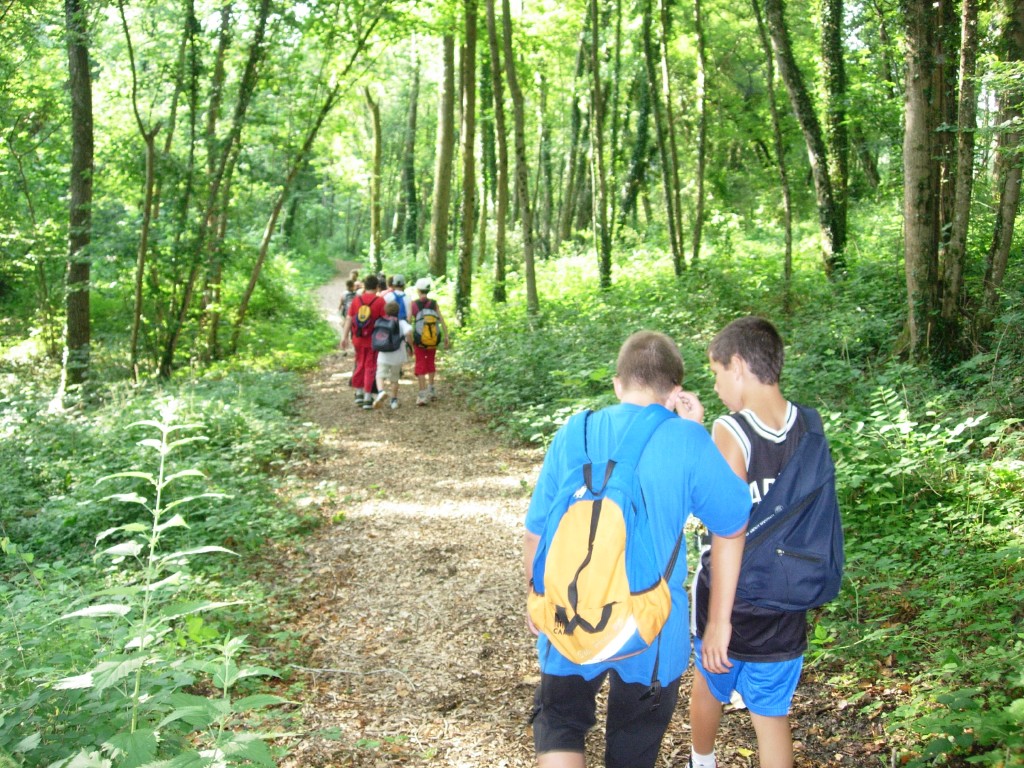 dscn1560.jpg