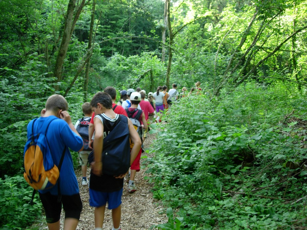 dscn1561.jpg