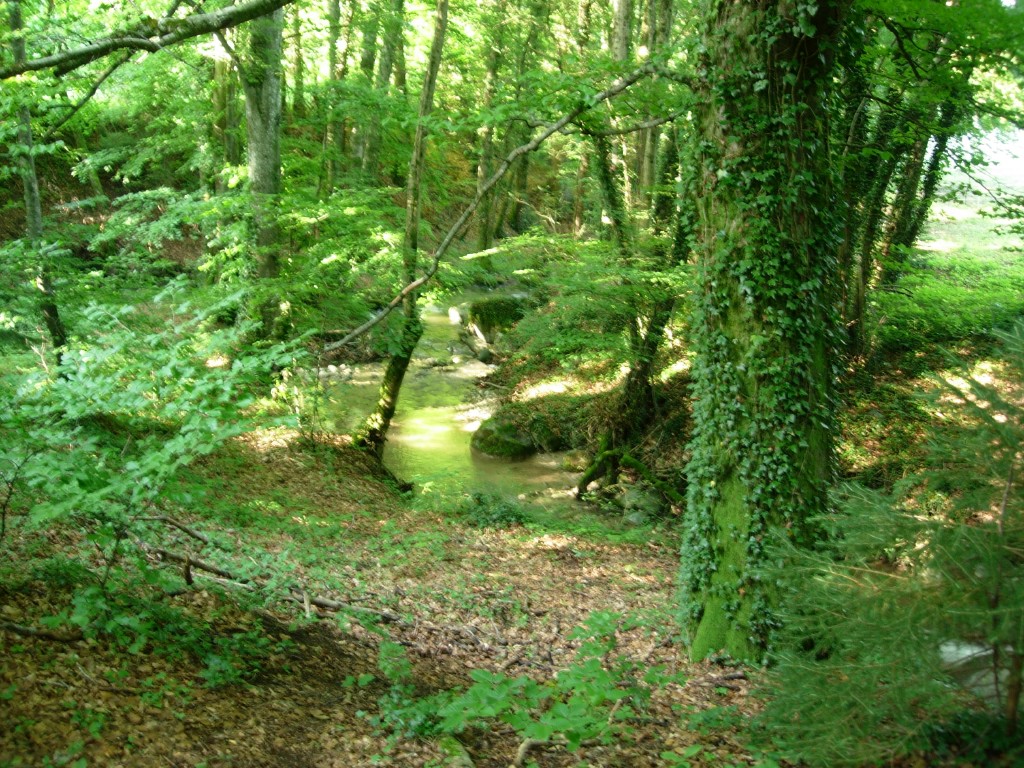 dscn1565.jpg
