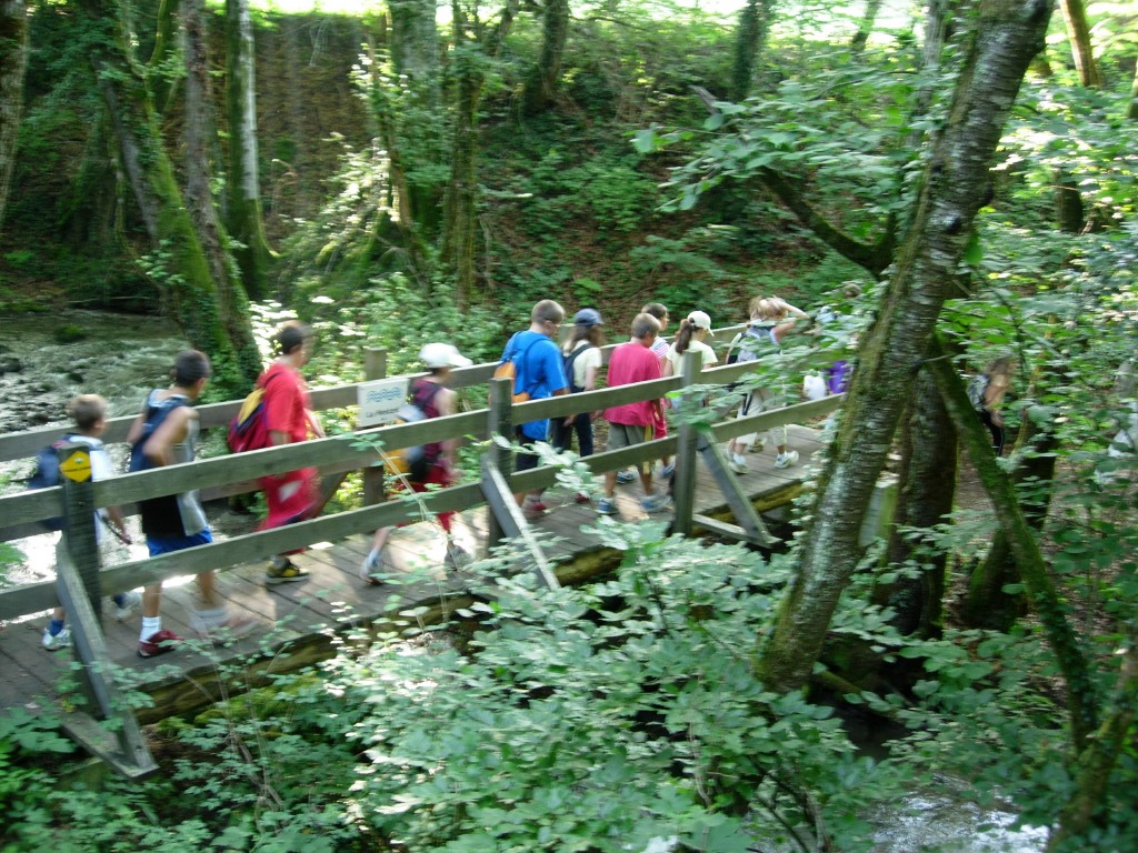 dscn1566.jpg