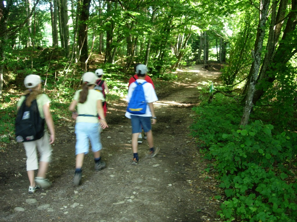 dscn1572.jpg