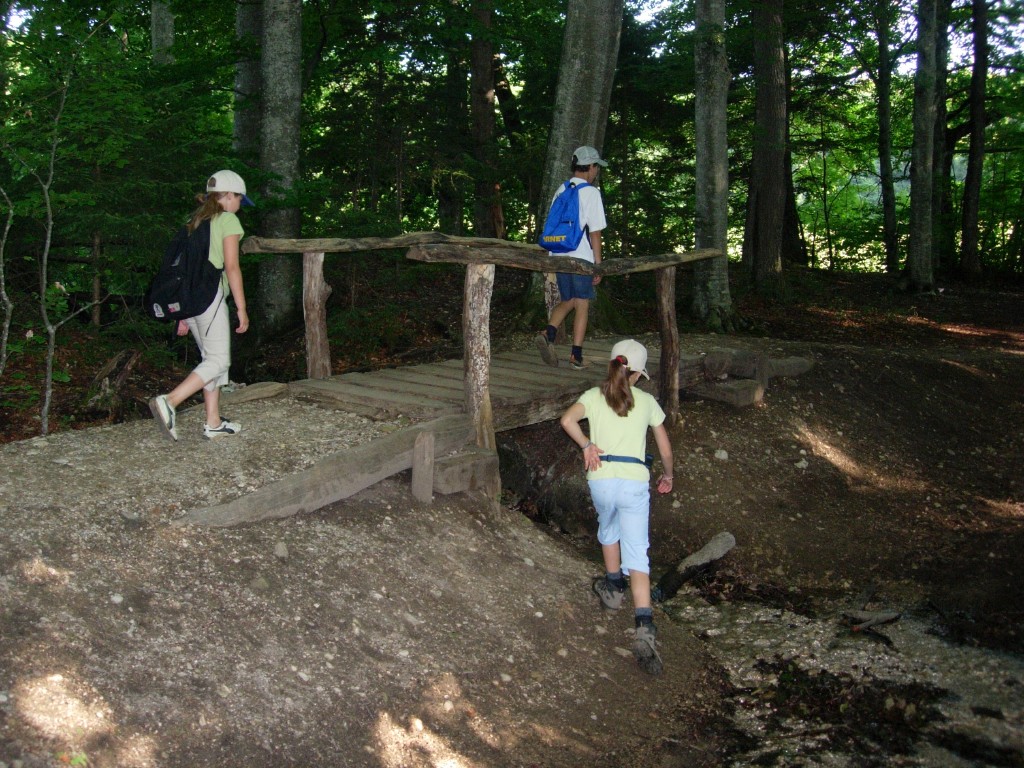 dscn1573.jpg