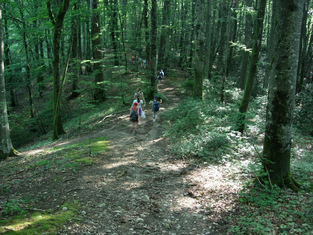dscn1586.jpg