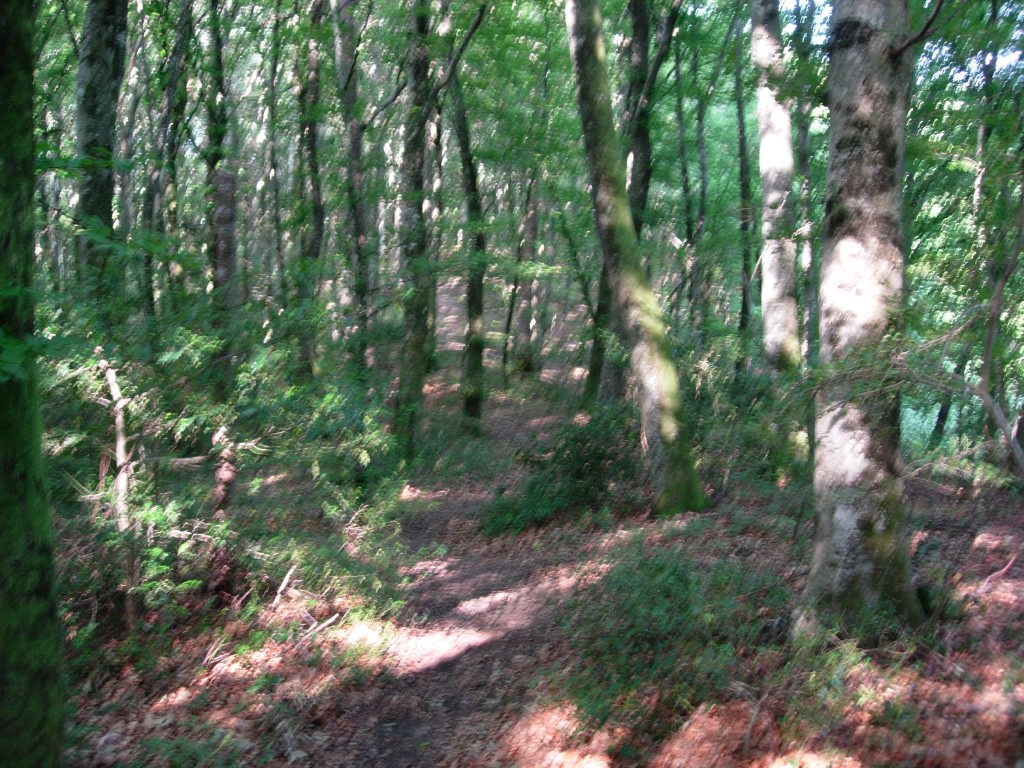 dscn1588.jpg