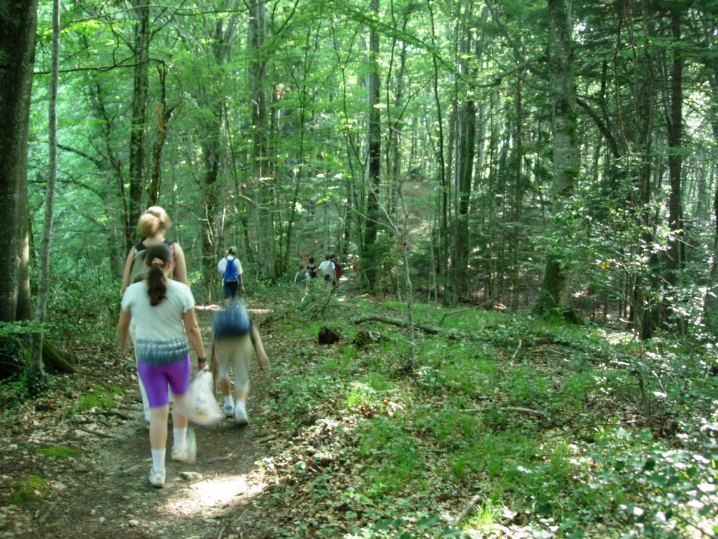 dscn1589.jpg