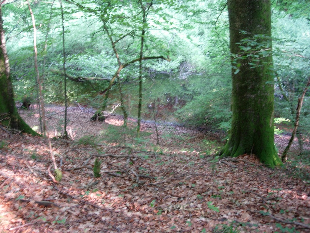 dscn1590.jpg