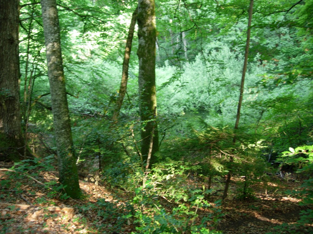 dscn1591.jpg