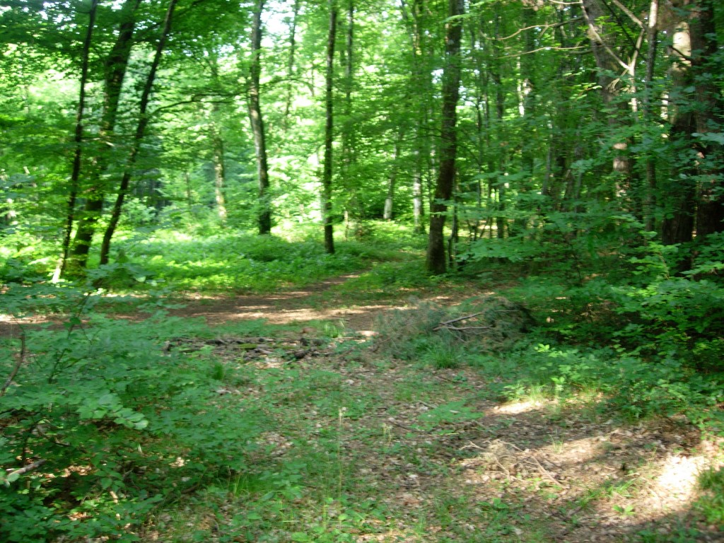 dscn1593.jpg