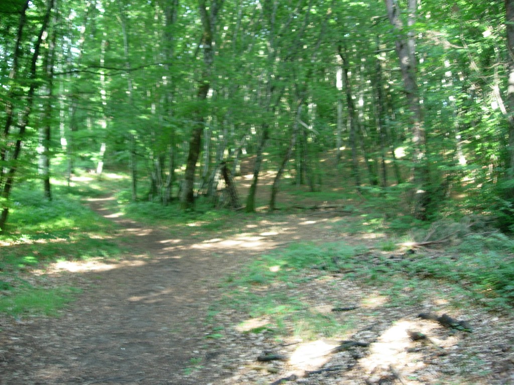 dscn1594.jpg