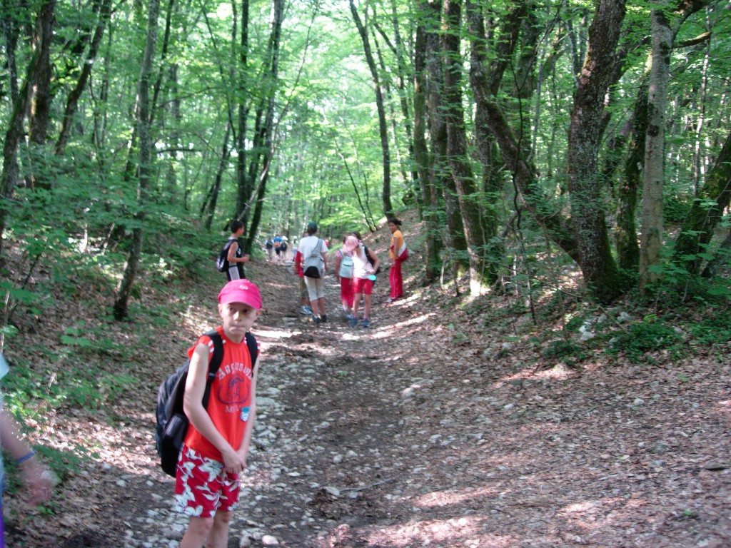 dscn1595.jpg