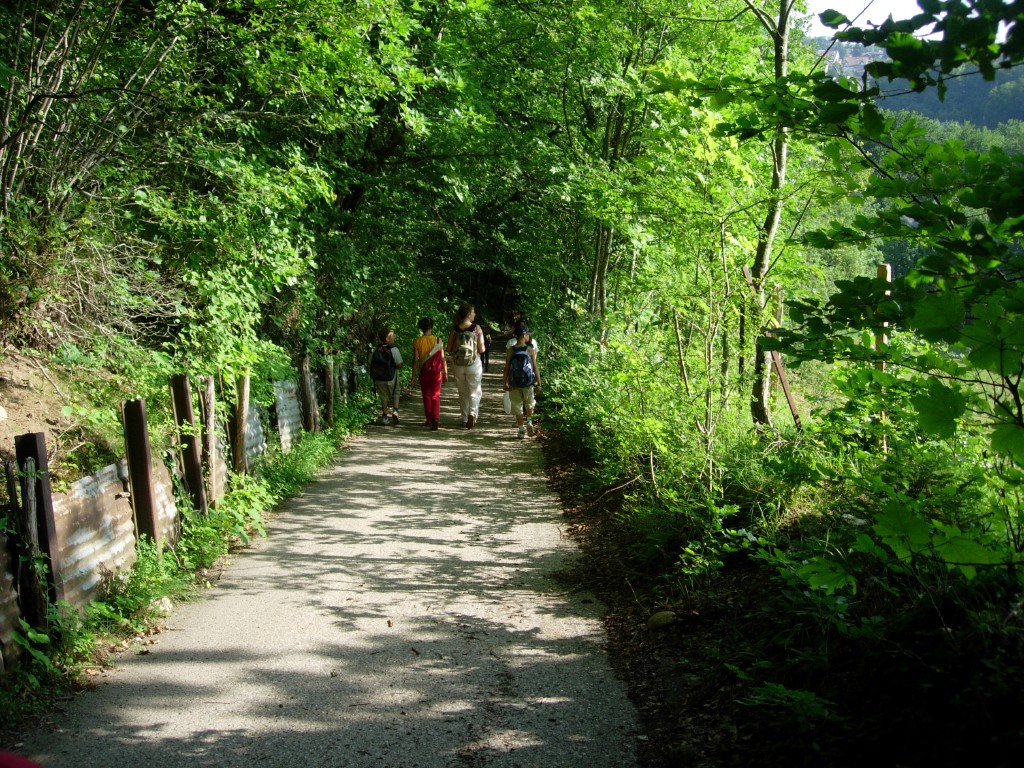 dscn1602.jpg