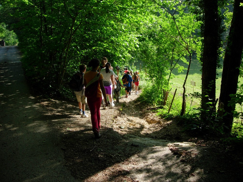 dscn1604.jpg