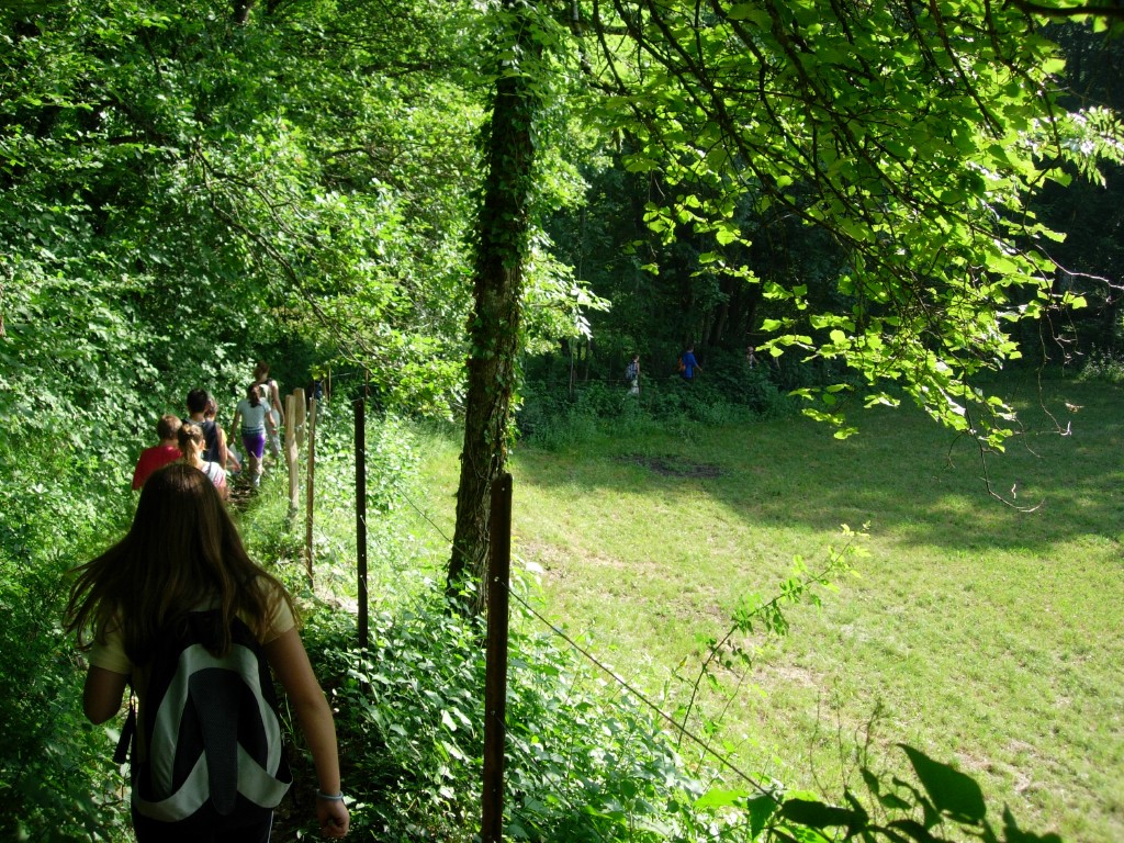 dscn1607.jpg