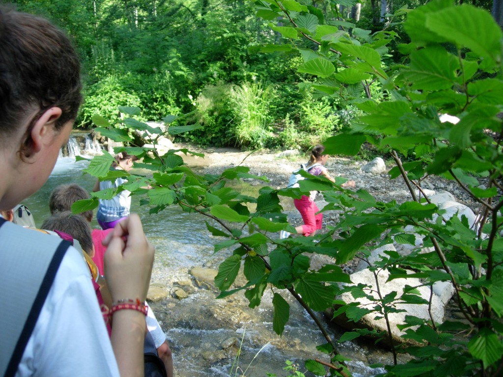 dscn1615.jpg