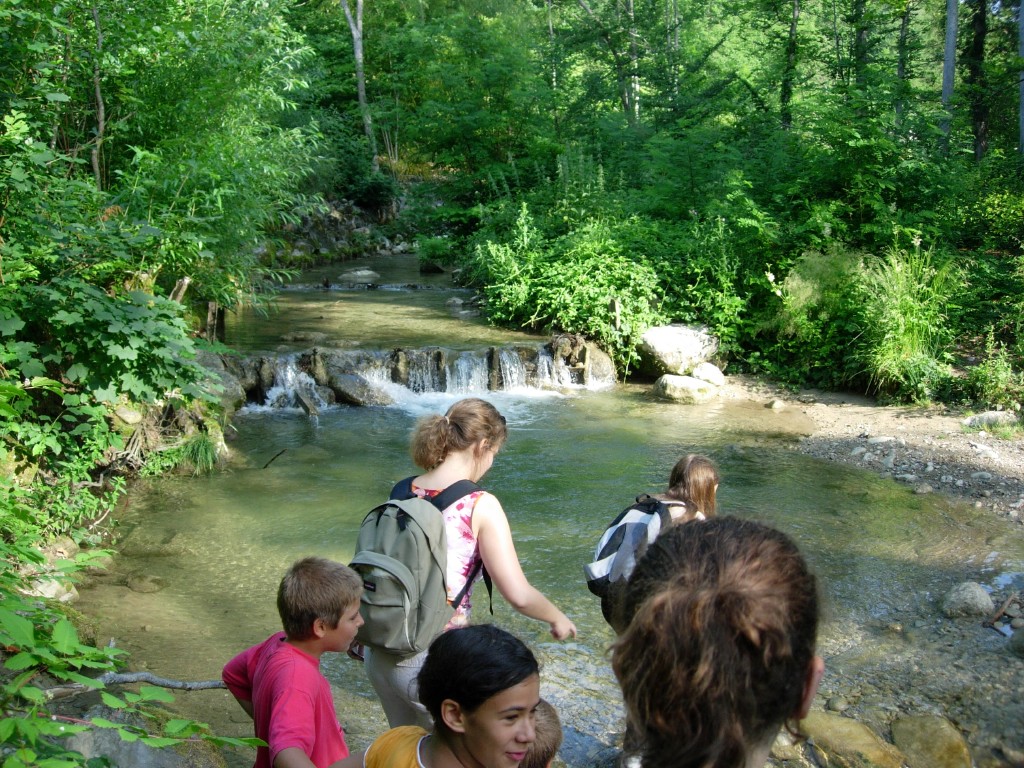 dscn1617.jpg