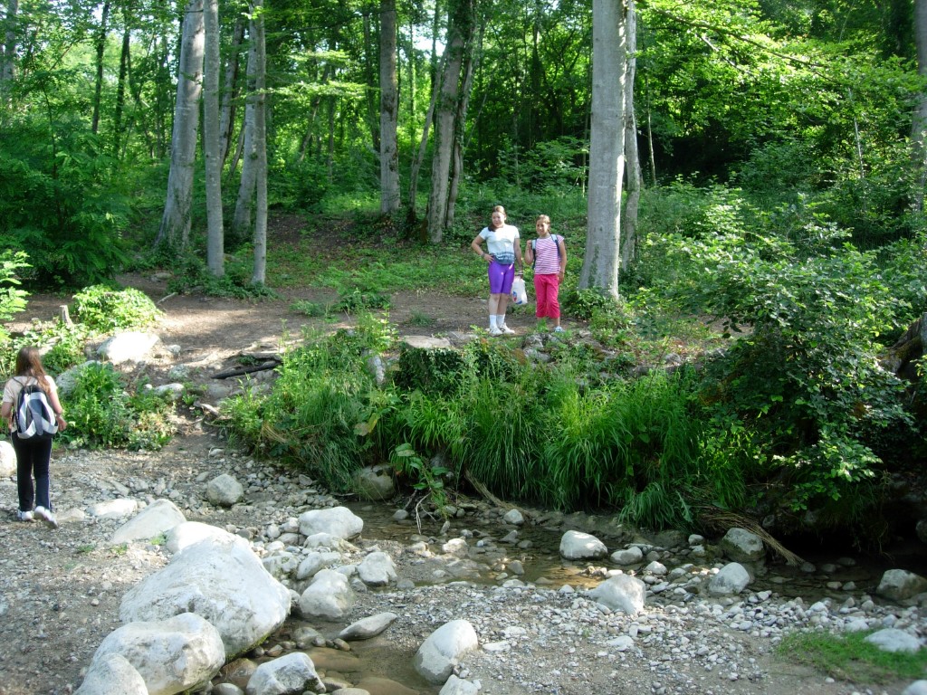 dscn1618.jpg