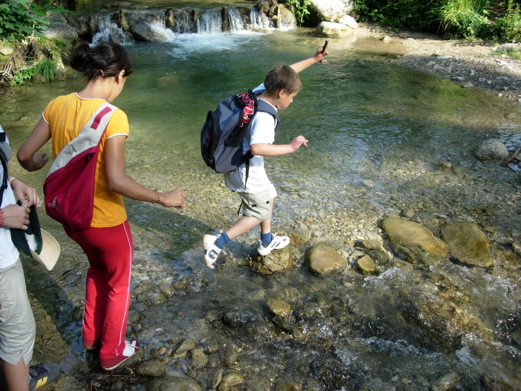 dscn1619.jpg