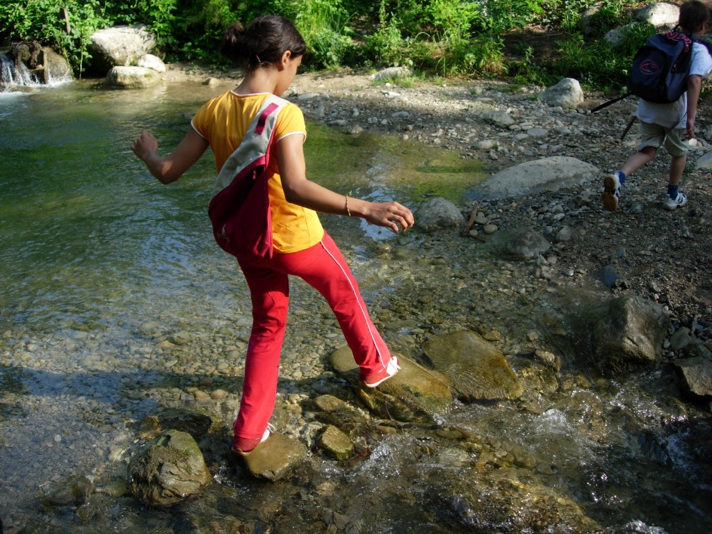 dscn1620.jpg