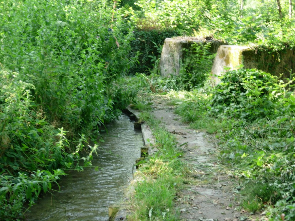 dscn1626.jpg