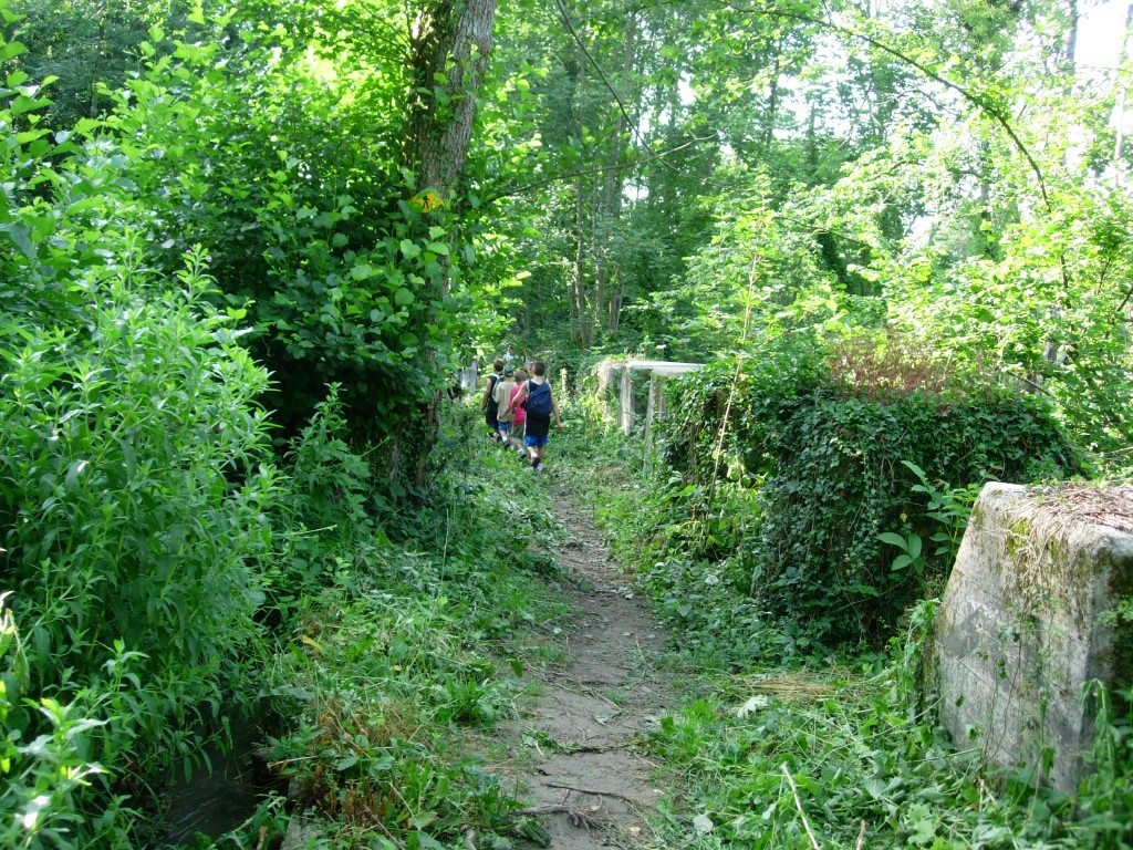 dscn1627.jpg
