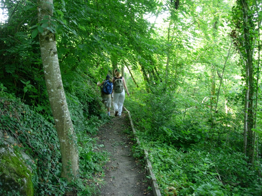 dscn1628.jpg
