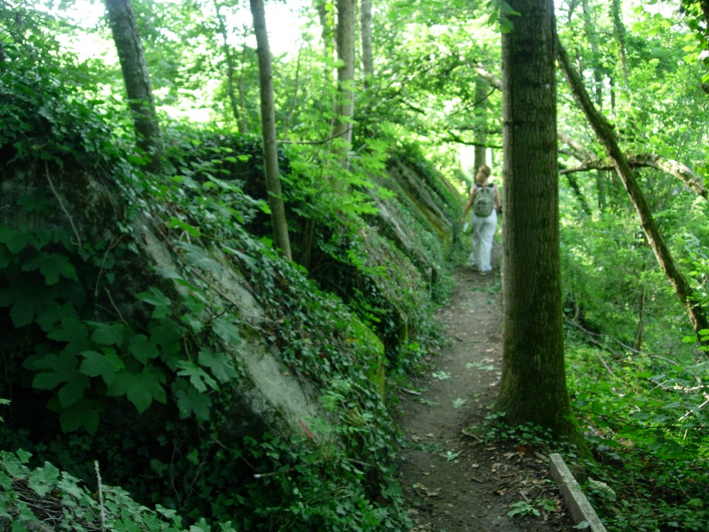 dscn1629.jpg