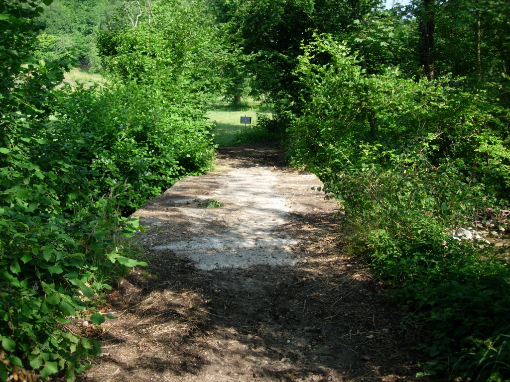 dscn1631.jpg