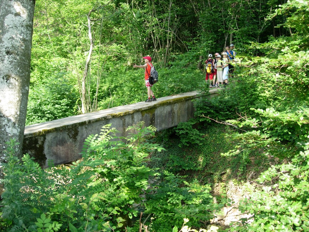 dscn1634.jpg