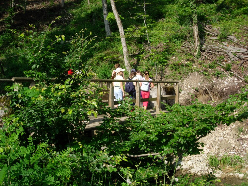 dscn1635.jpg