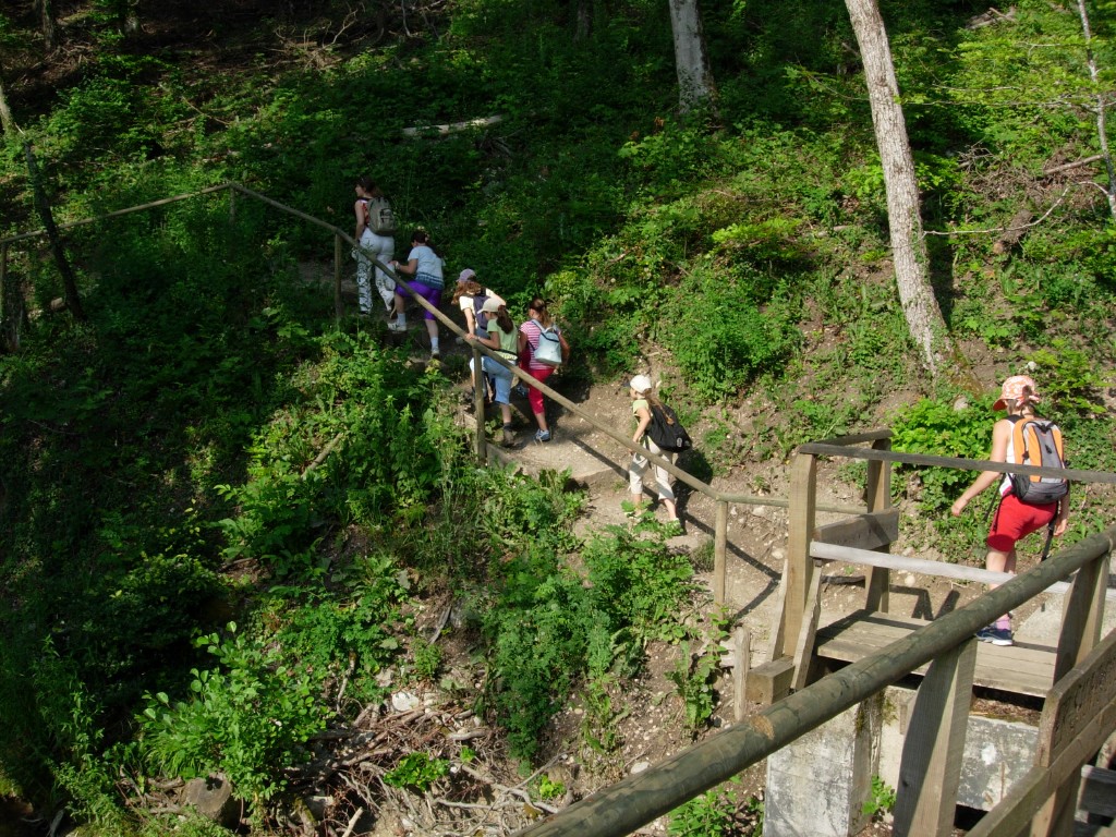dscn1636.jpg