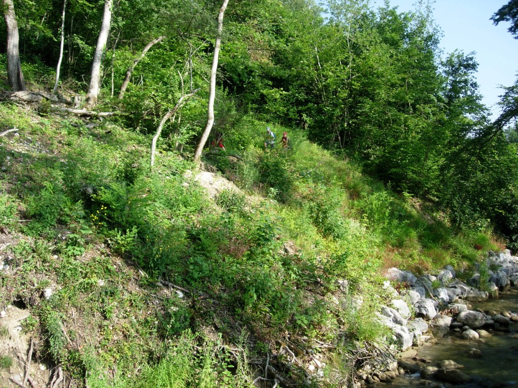 dscn1638.jpg