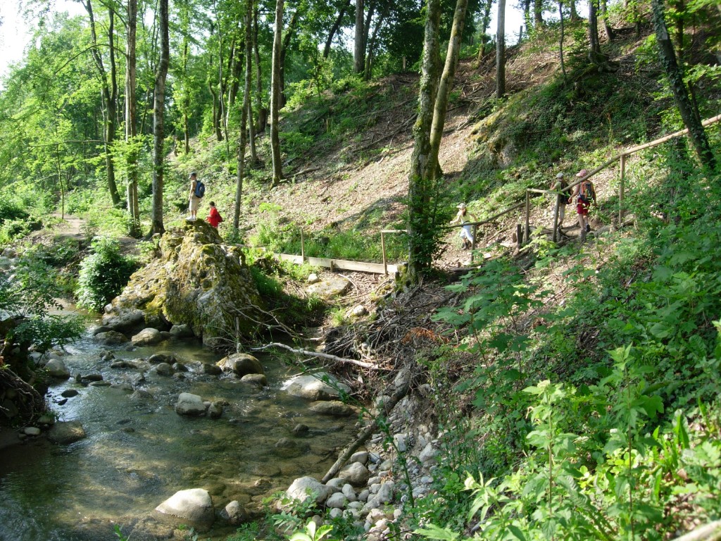 dscn1639.jpg